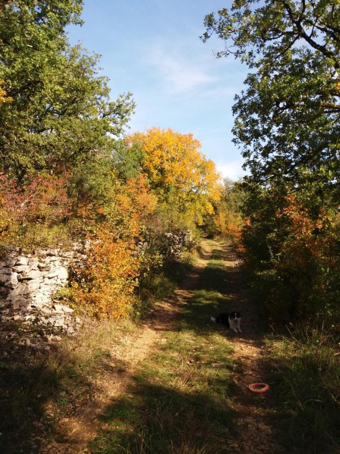 Les Trois Prunelles Saint-Pierre-Toirac Zewnętrze zdjęcie